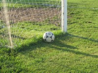 ���� �����-������ �� ������ �����