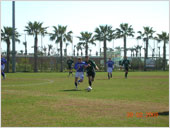 29/02/08 ������ - ���������-�������